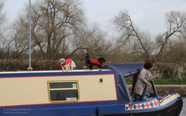 It's a dog's life on the canals...