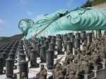 Big Buddha