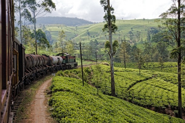 slinkin' through Sri Lanka