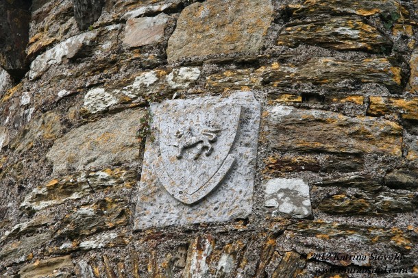 mysterious coat of arms.