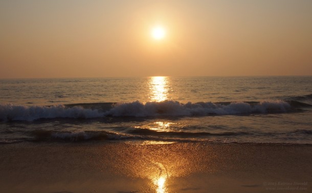 Path of Gold - Agonda Beach, Goa, India